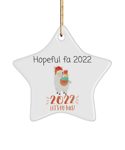 Star christmas ornament, Christmas ornament 2021, Christmas ornament for tree